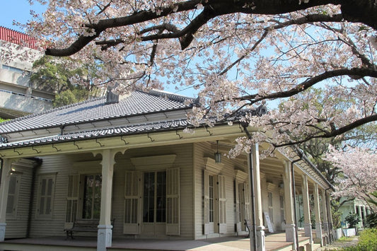 写真提供：（一社）長崎県観光連盟