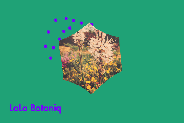 LaLa Botaniq